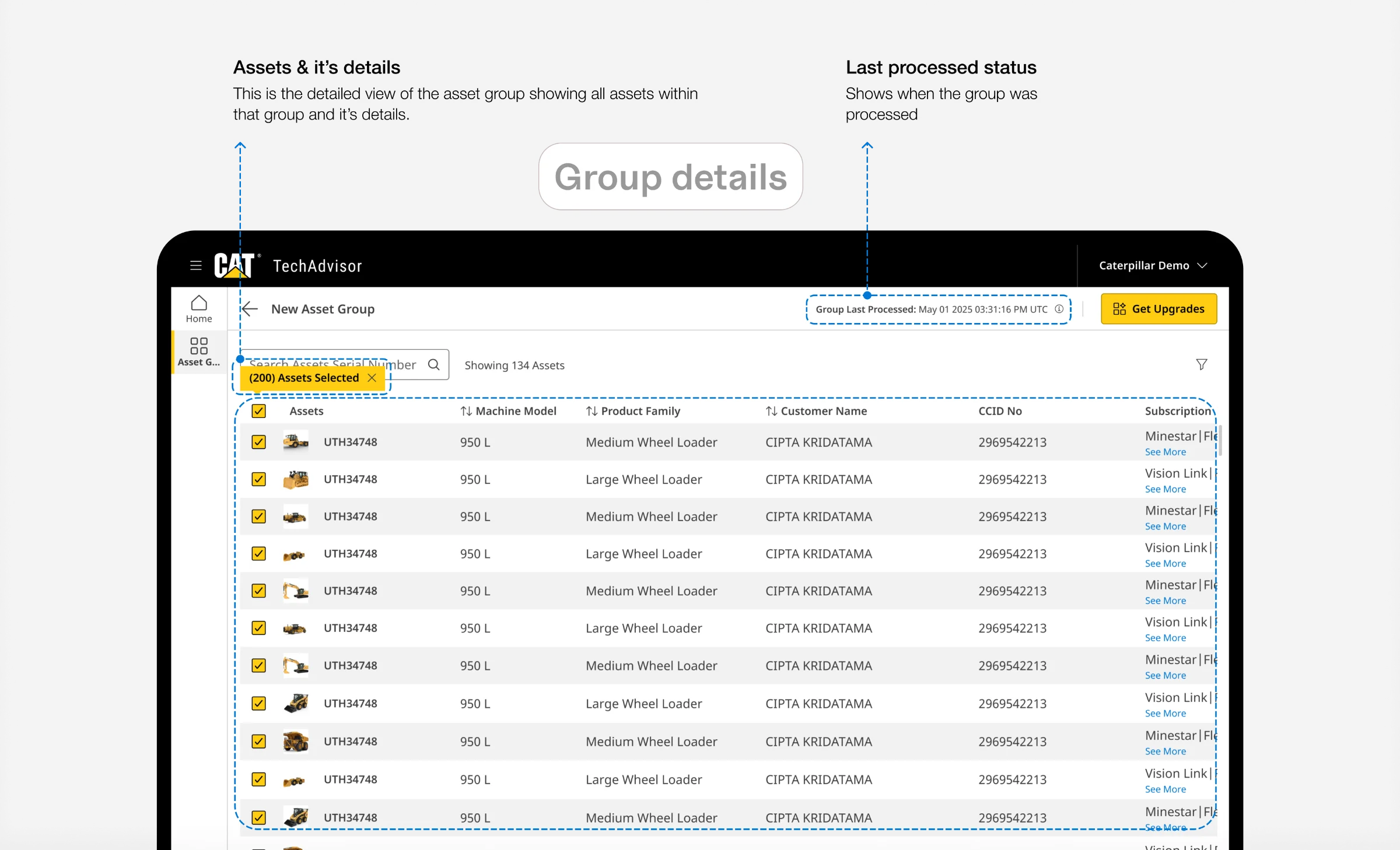 Asset groups, Group details
